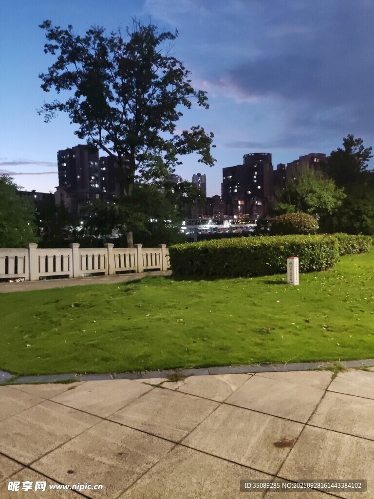 戶外草坪旁的寧靜景致