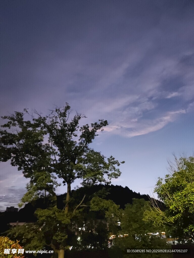 夜幕下的綠樹與天空