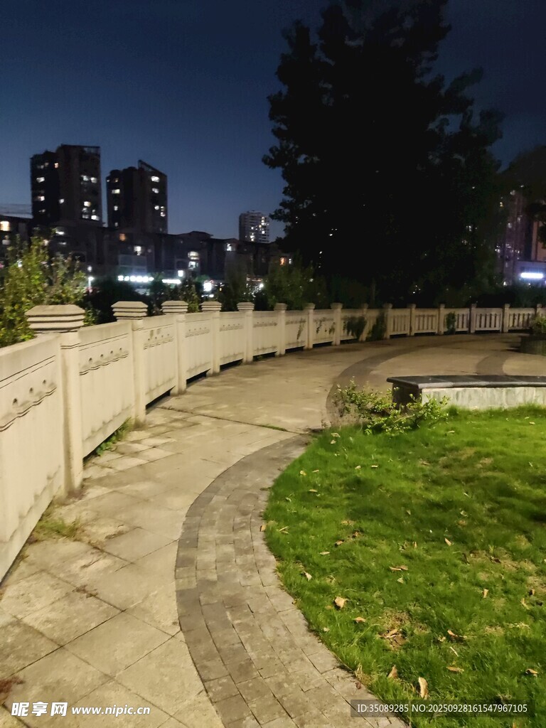 夜晚公園小徑與綠植景觀