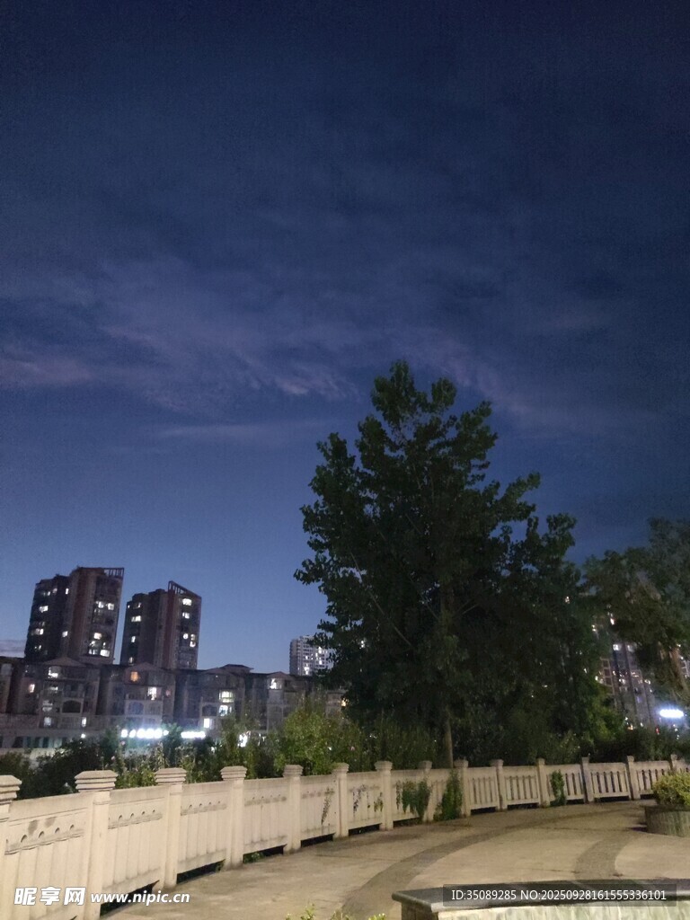 城市夜景中的樹木與圍欄