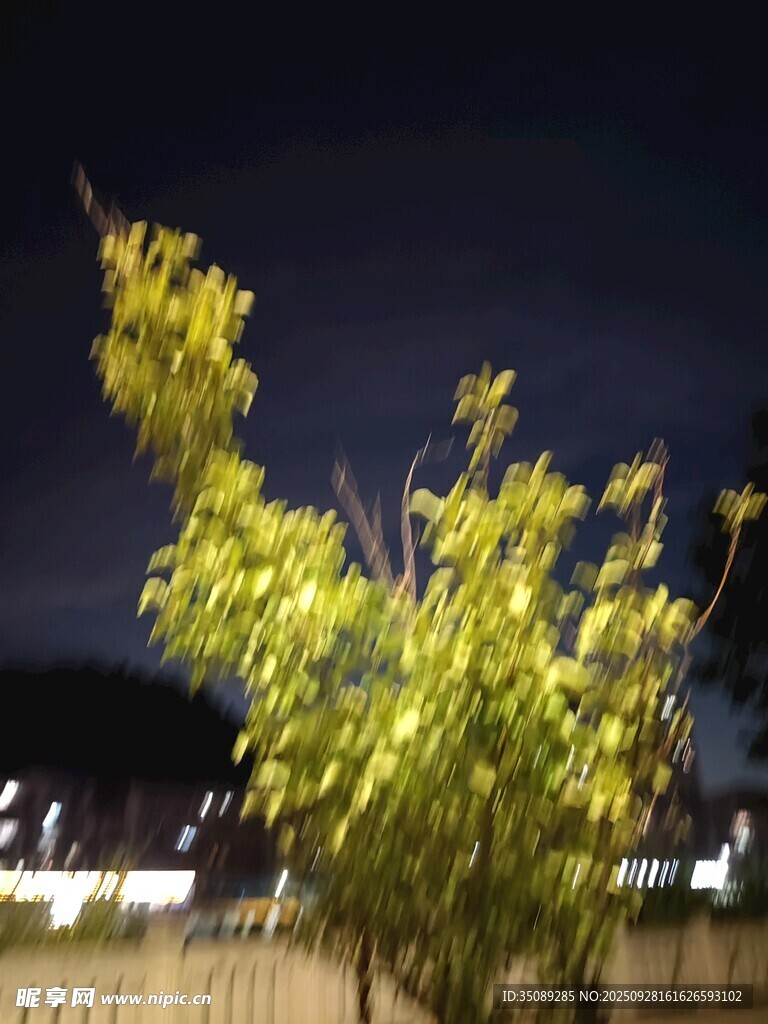 夜中閃爍的翠綠樹枝