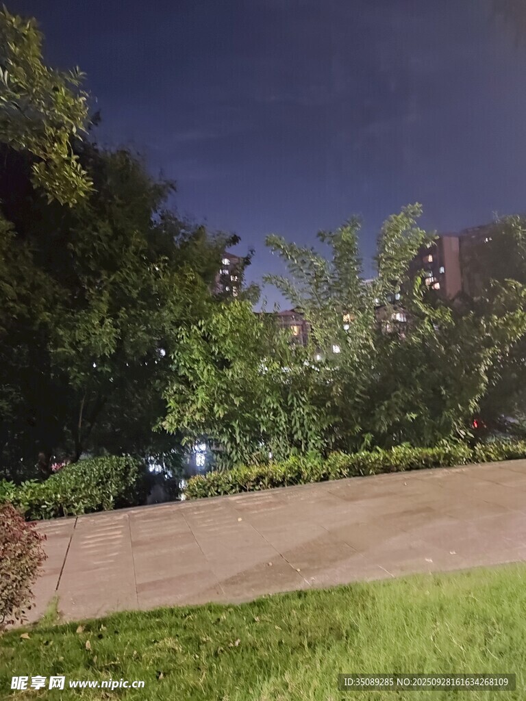夜晚公園靜謐小路景觀