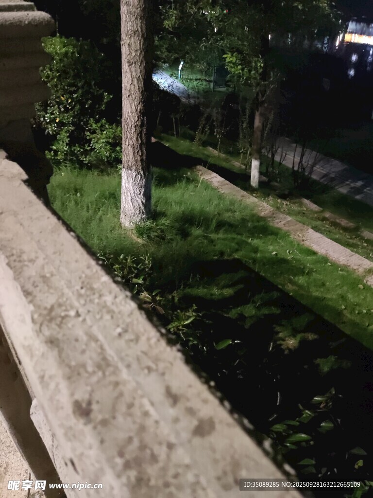 夜晚庭院綠植景觀一角