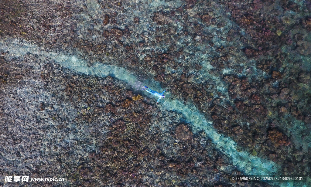 蜿蜒藍線于斑駁地面