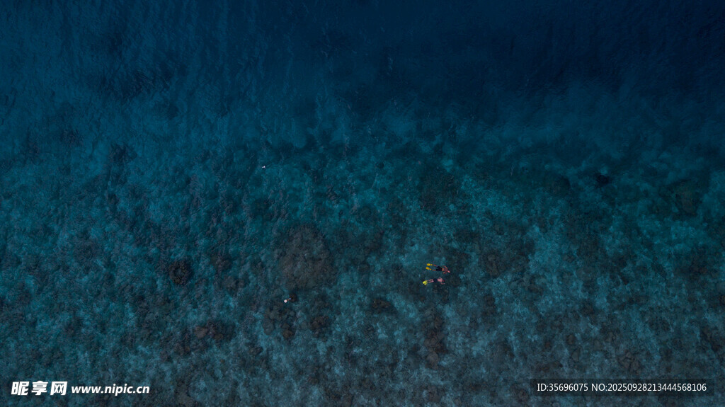 深海海底的神秘景觀