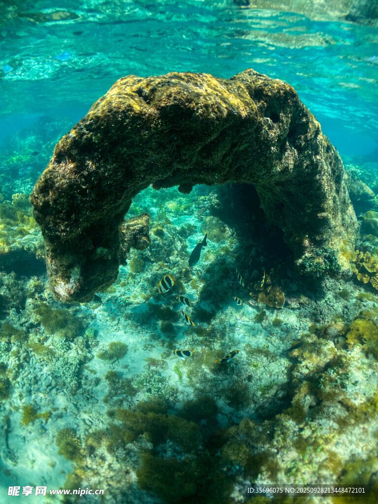 海底拱形礁石景觀