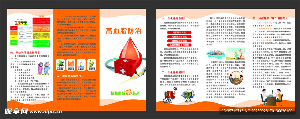 高血脂宣傳冊設(shè)計(jì)展示