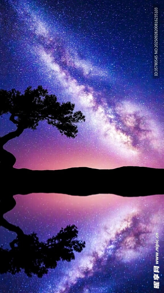 星空下的靜謐湖景與樹影