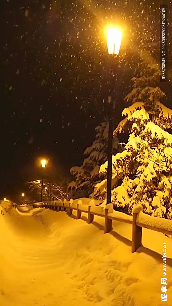 雪夜路燈下的靜謐雪景