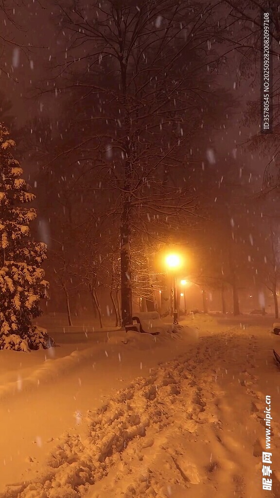 雪夜中的溫馨燈光小道