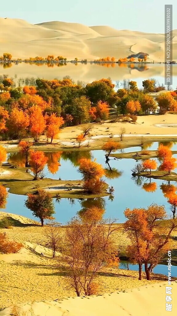 秋日湖畔美景