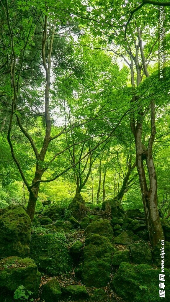 山水自然風(fēng)景視頻素材