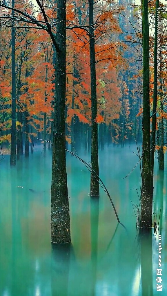 秋日水畔彩林夢(mèng)幻景致