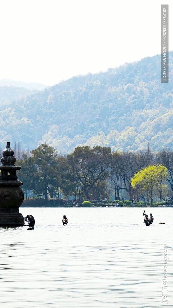 西湖三潭印月湖景風(fēng)光