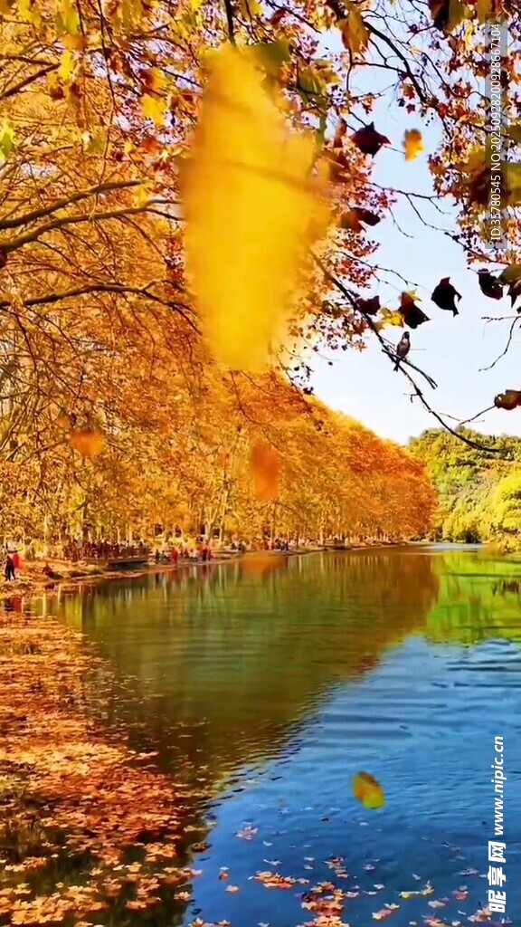 秋日湖畔斑斕美景
