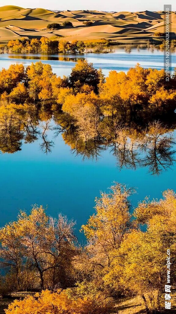 秋日湖畔美景