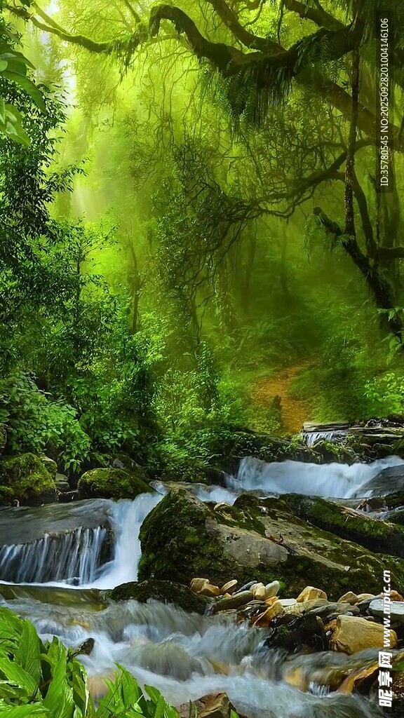 山林間的潺潺溪流