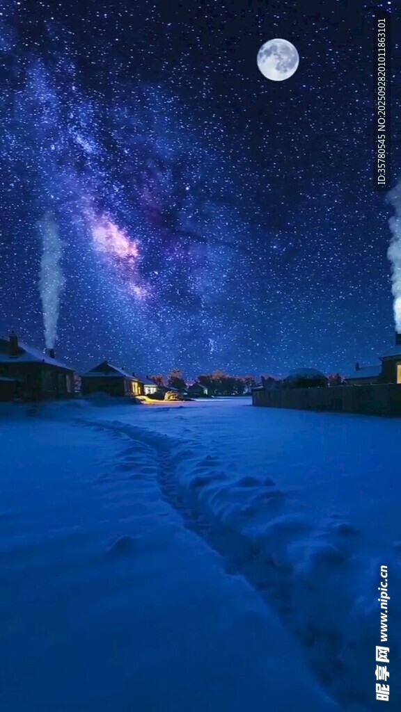 夢(mèng)幻月夜下的靜謐雪地景觀