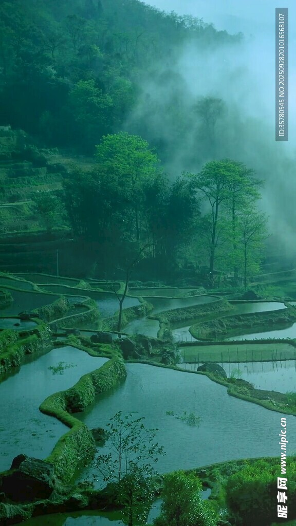 山間云霧繚繞的梯田美景
