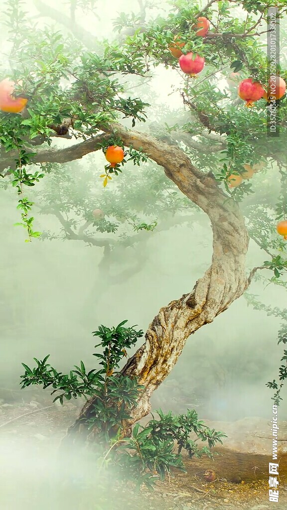 山水自然風景視頻素材