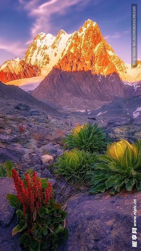 壯麗山景與多彩植被