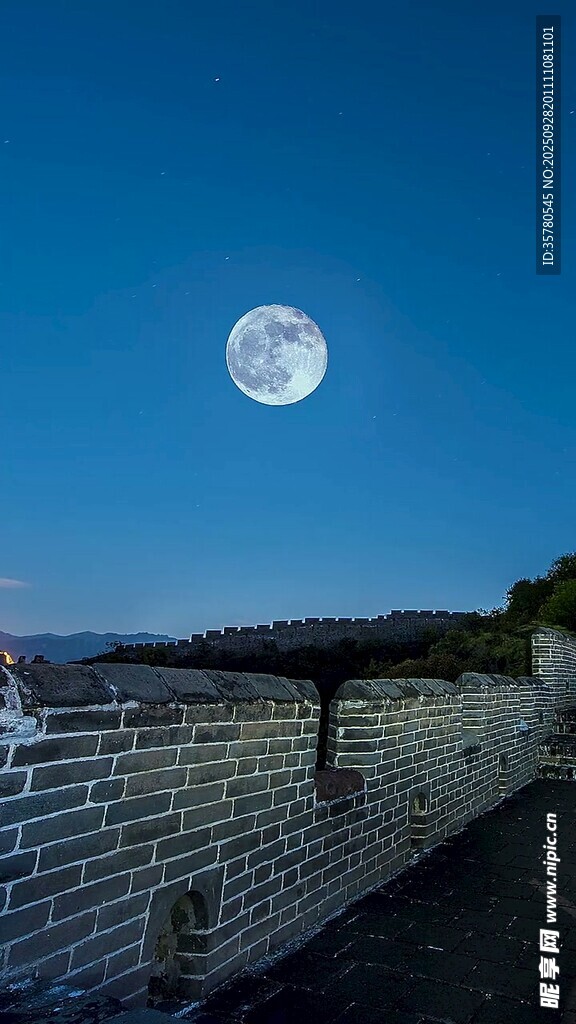 月夜下的河畔景致