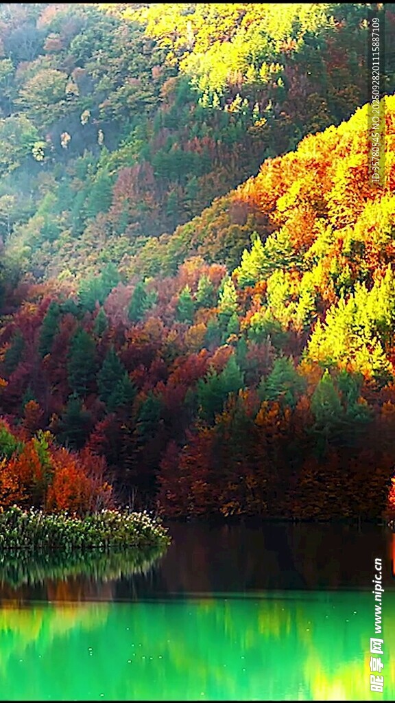 秋日山林間的靜謐湖水
