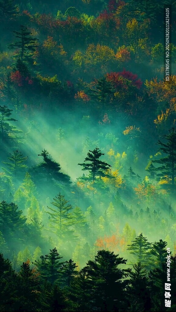 夢幻山林間的靜謐景致