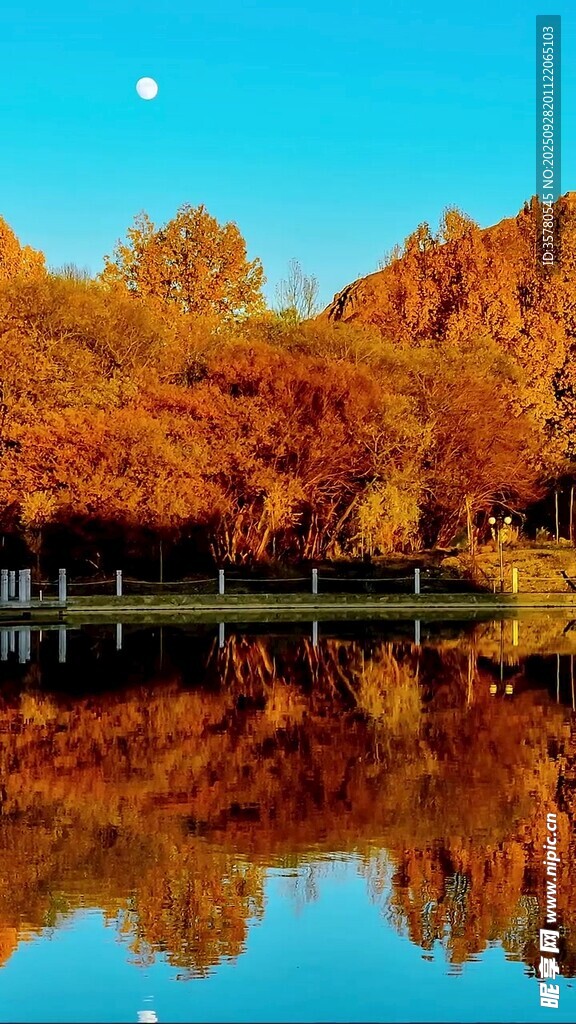 秋日湖畔美景