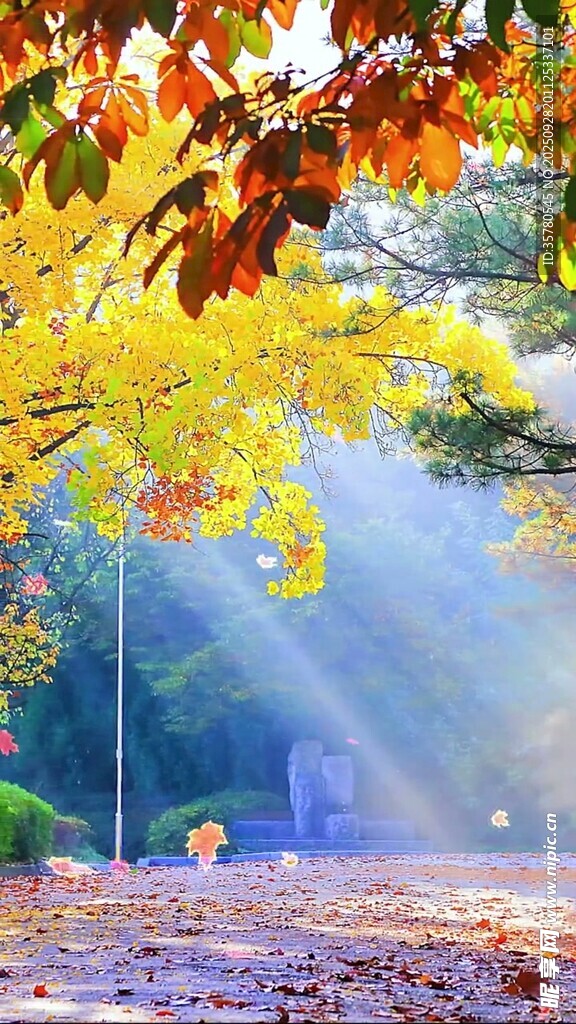 山水自然風(fēng)景視頻素材