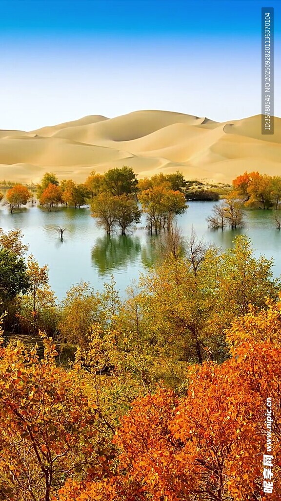 秋日湖畔美景