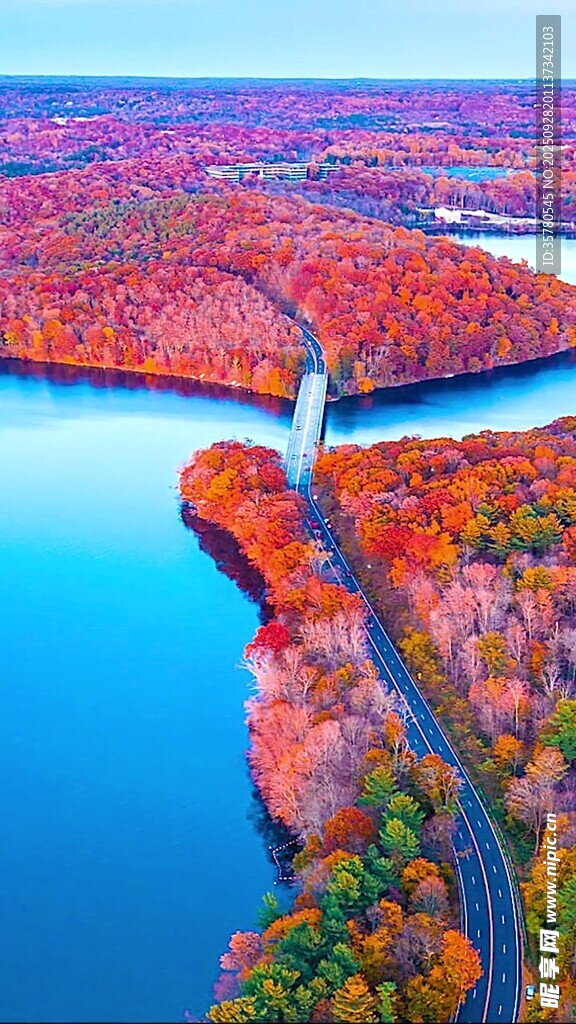 秋日河畔絢爛紅葉景觀