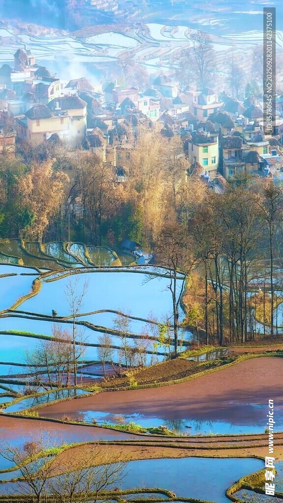冬日梯田與遠(yuǎn)處城鎮(zhèn)美景