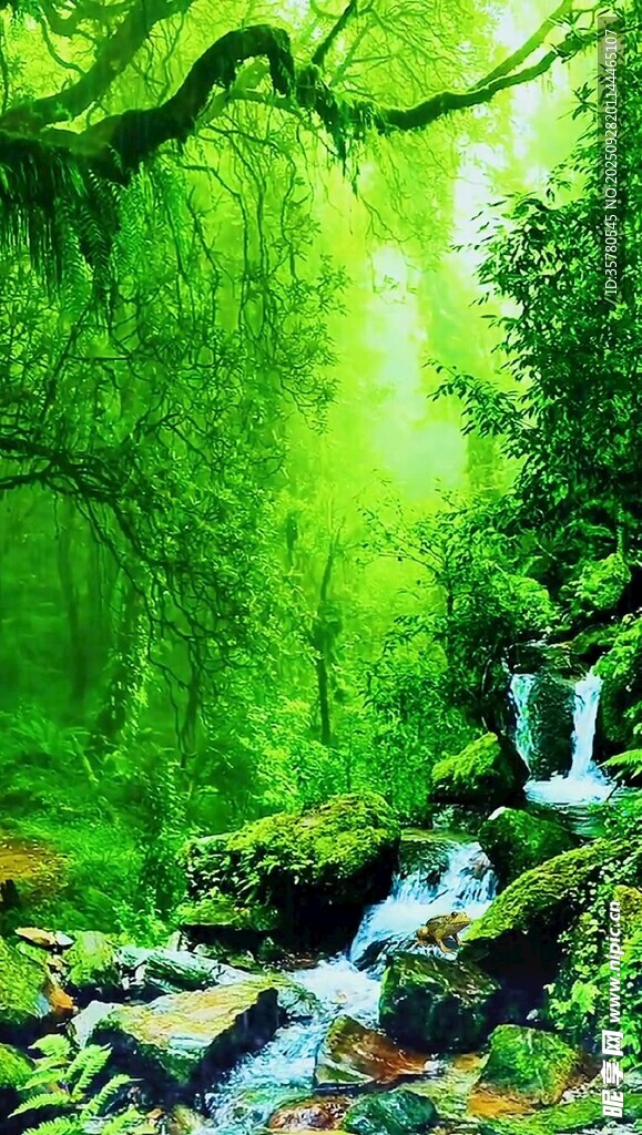 清幽溪畔綠意盎然的自然景