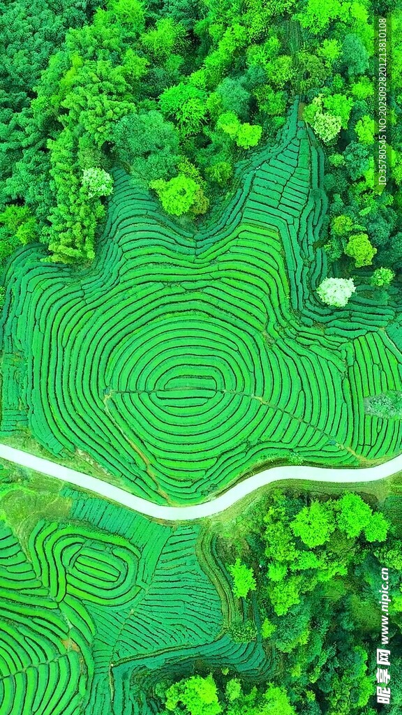 山水自然風景視頻素材