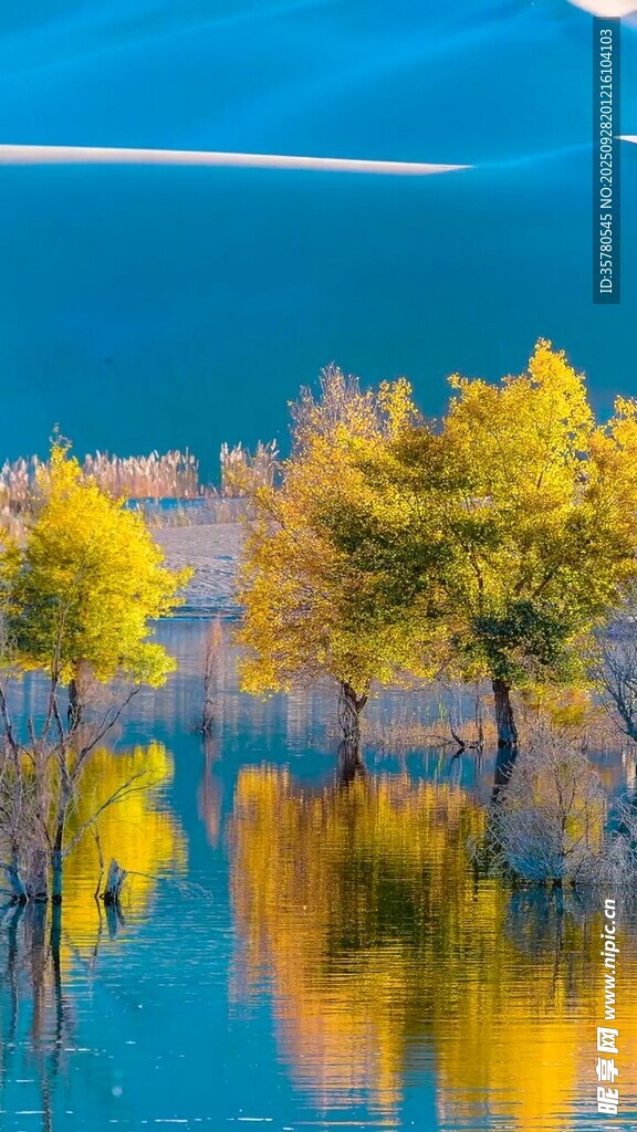 秋日湖畔美景