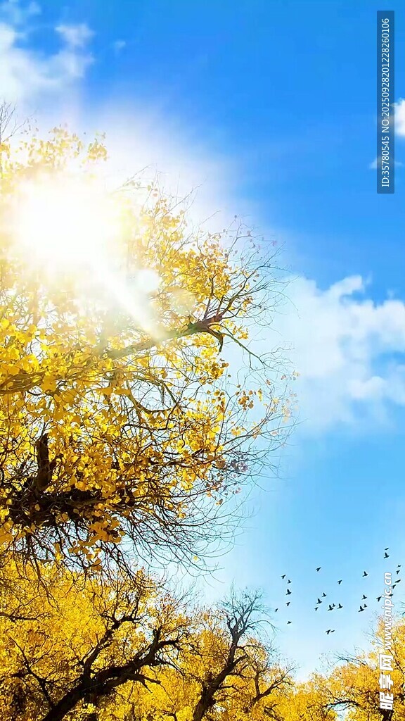 山水自然風(fēng)景視頻素材