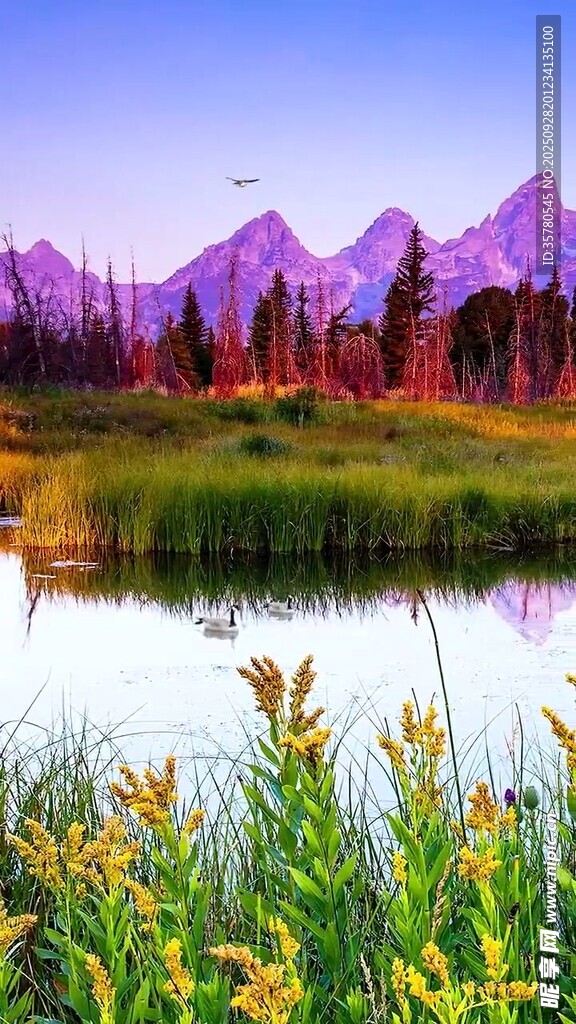 湖畔山巒間的絢爛自然美景