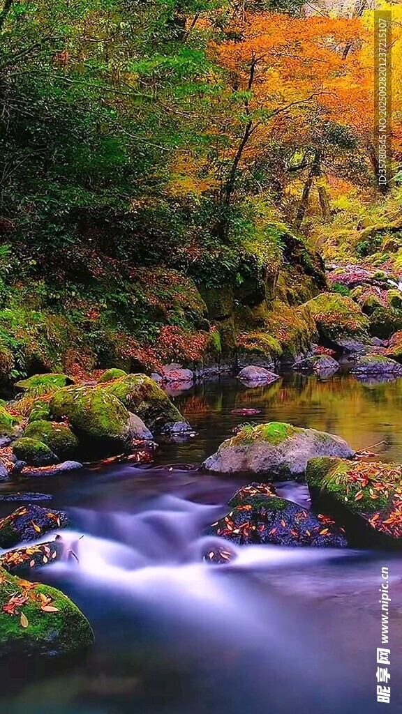 秋日溪流邊的斑斕景致
