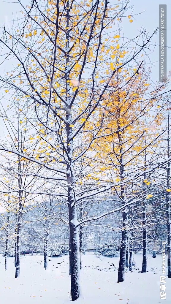 山水自然風(fēng)景視頻素材