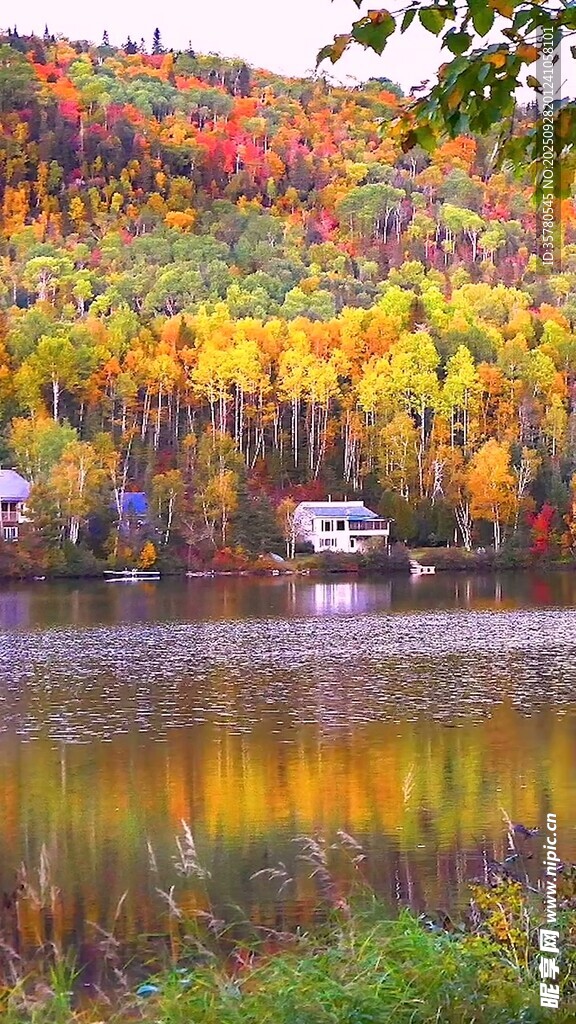 秋日湖畔斑斕美景