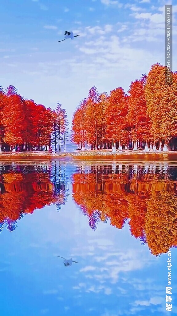 秋日湖畔紅葉倒影美景