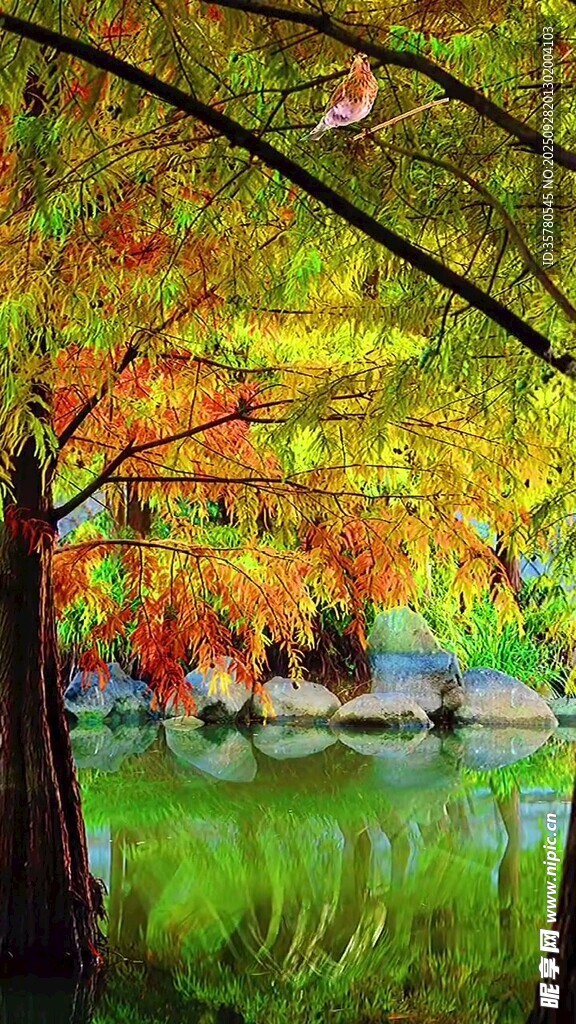 秋日森林湖畔絢麗美景