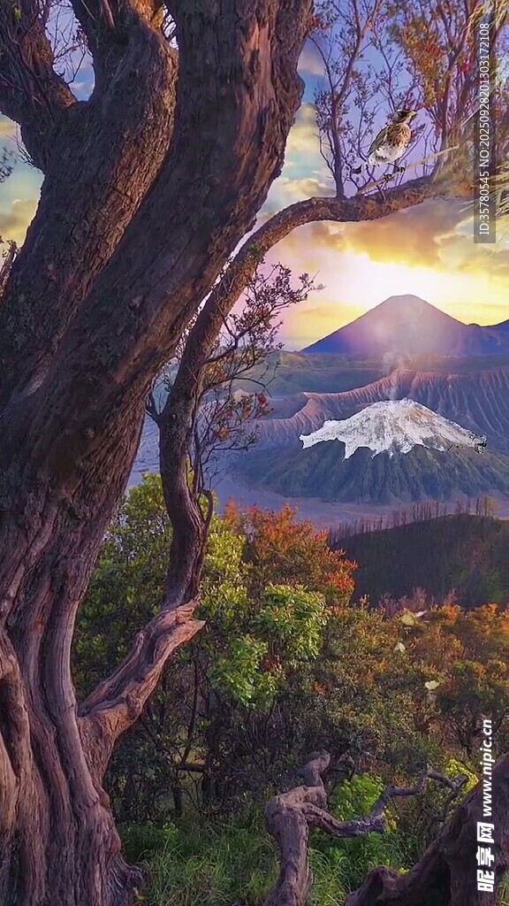 樹下遠(yuǎn)眺壯麗山景畫面