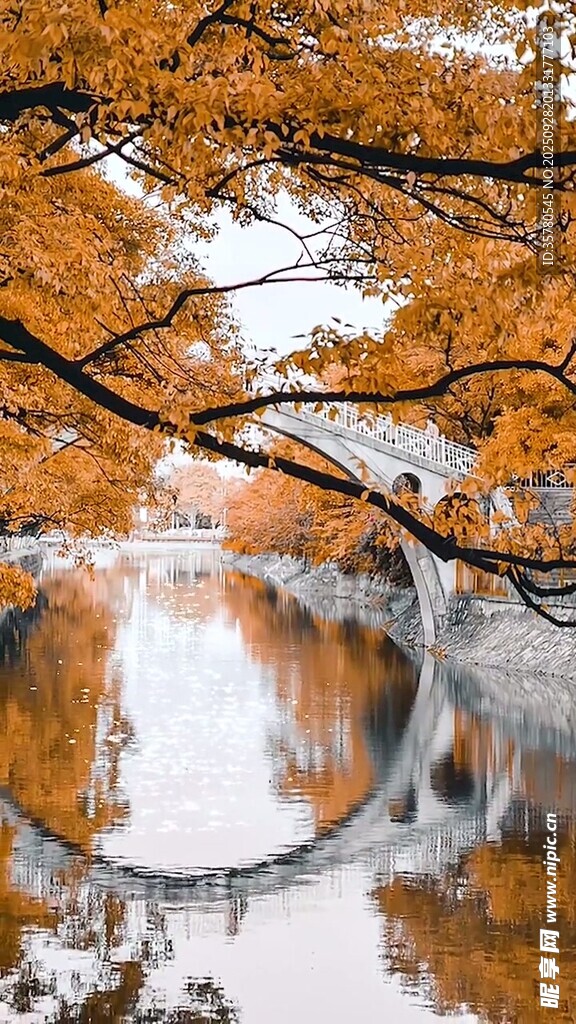 秋日湖畔美景
