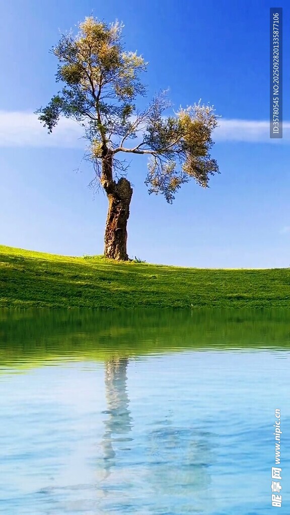 山水自然風(fēng)景視頻素材