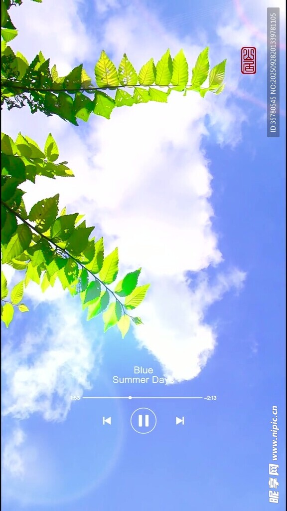 藍天白云下的翠綠枝葉