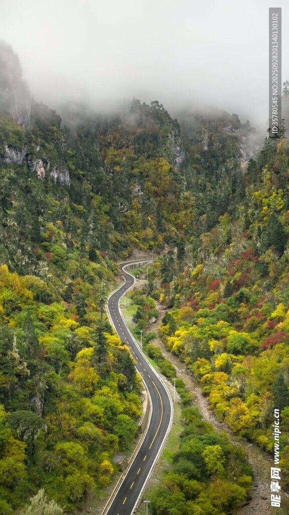 山間蜿蜒公路秋景如畫