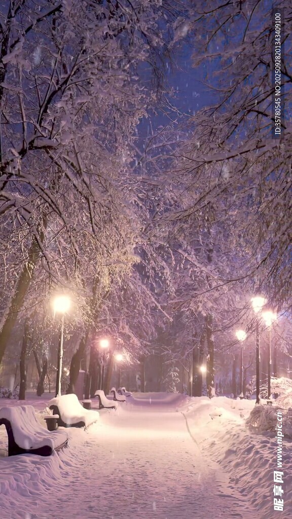 雪夜公園靜謐美景