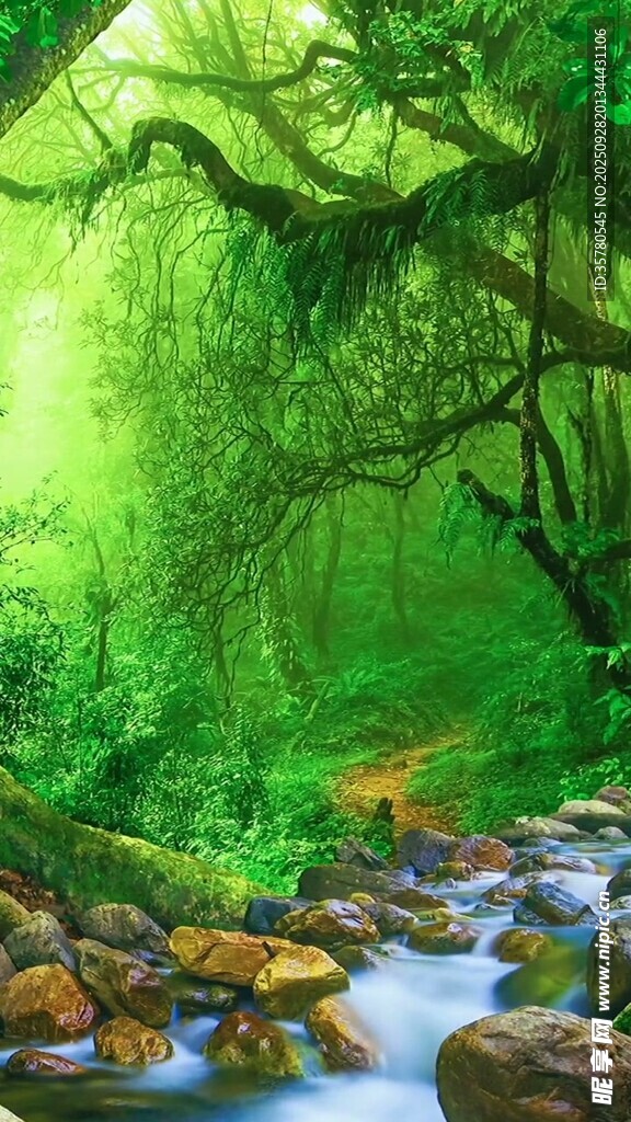 山水自然風(fēng)景視頻素材